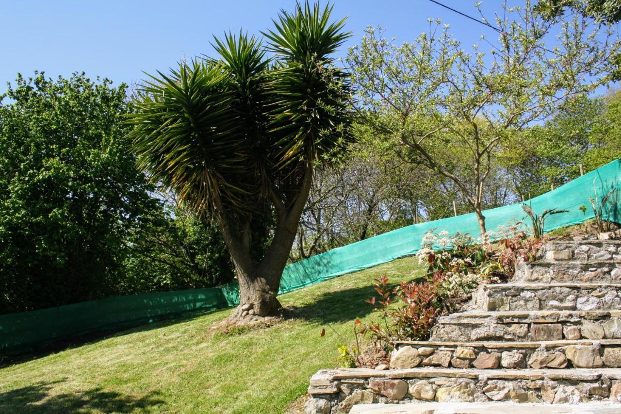Casa La Palmera Gormazo 外观 照片